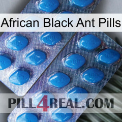 African Black Ant Pills viagra2